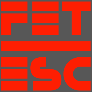 FE-Logo-semiT-600